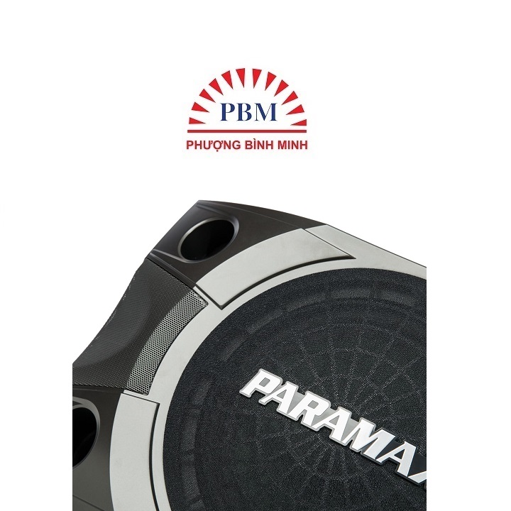 Loa Paramax P850